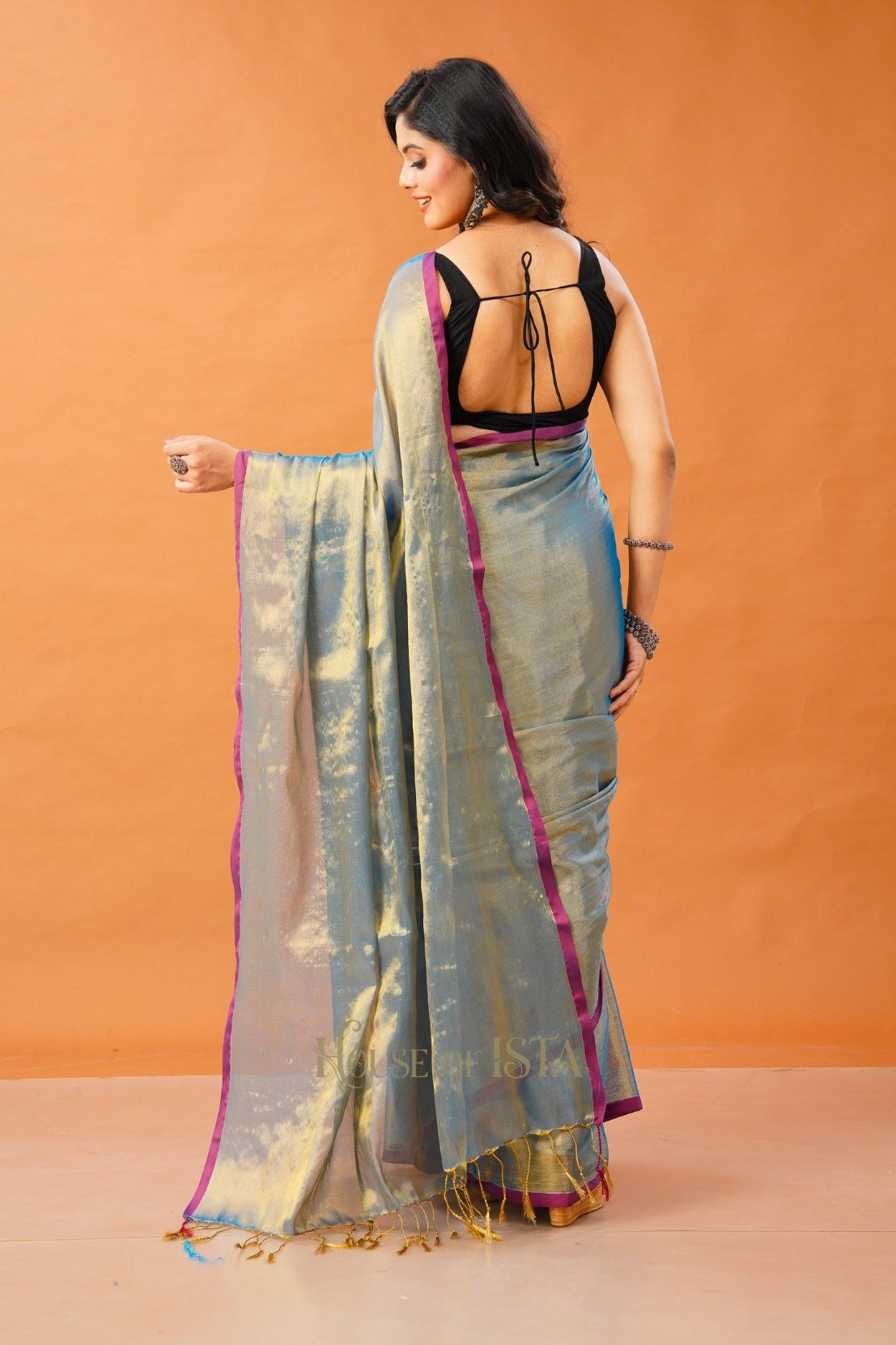 Neel Eshana Tissue Cotton Saree