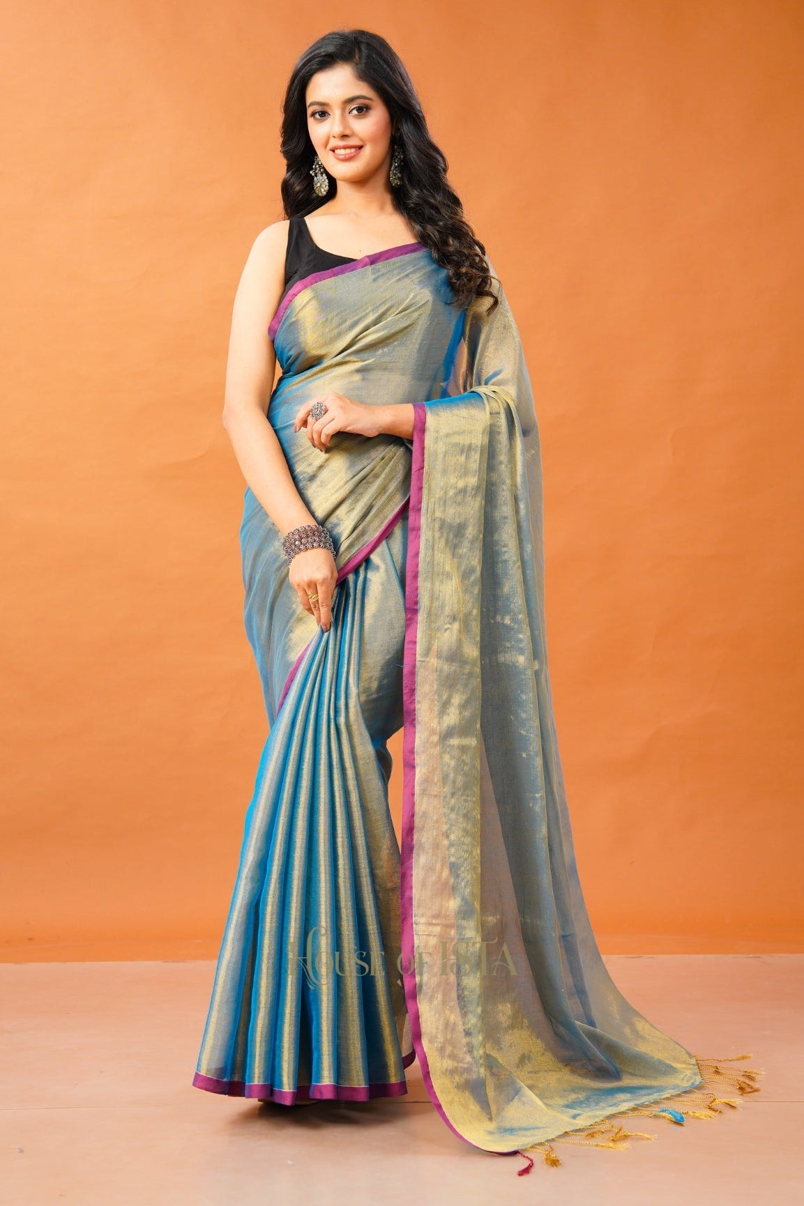 Neel Eshana Tissue Cotton Saree