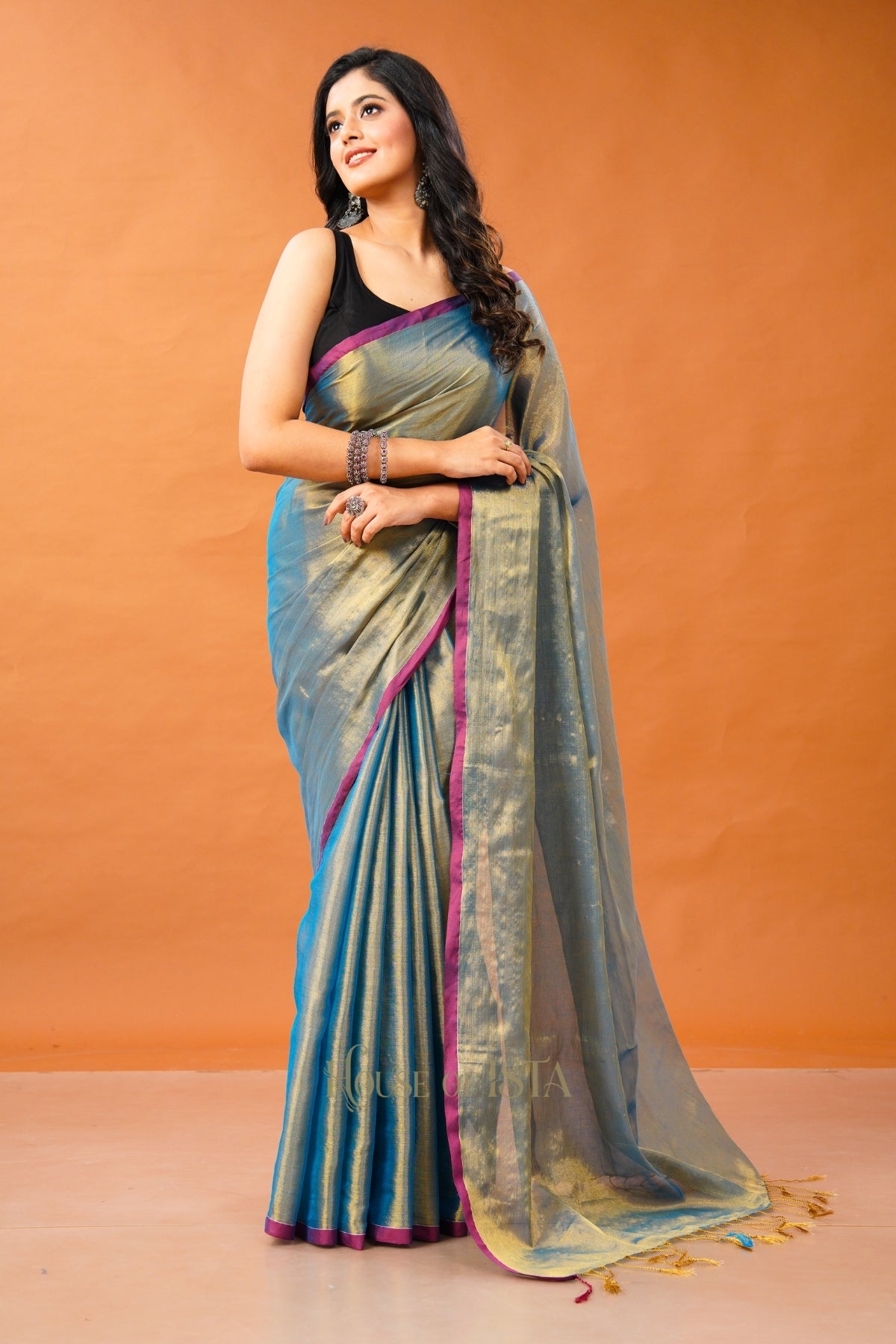 Neel Eshana Tissue Cotton Saree