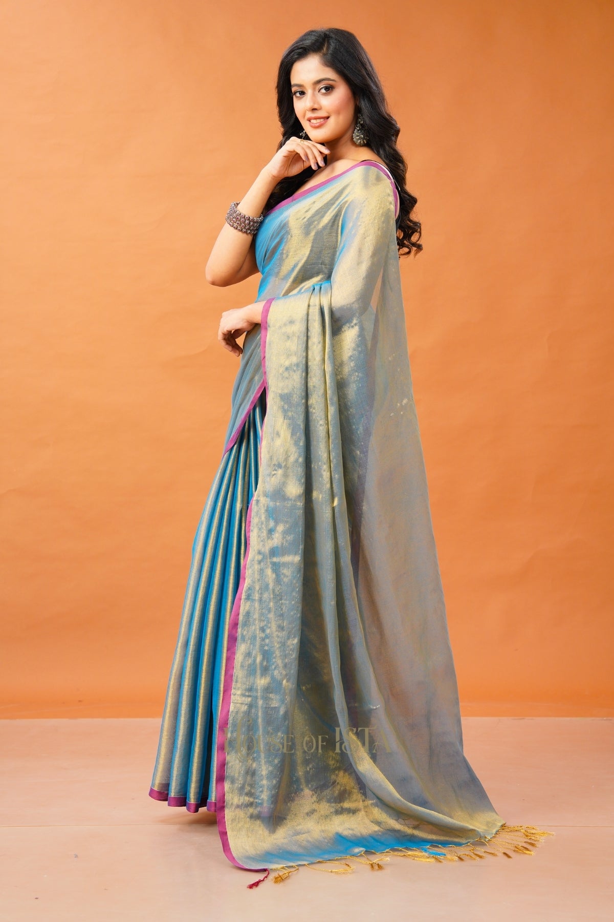 Neel Eshana Tissue Cotton Saree