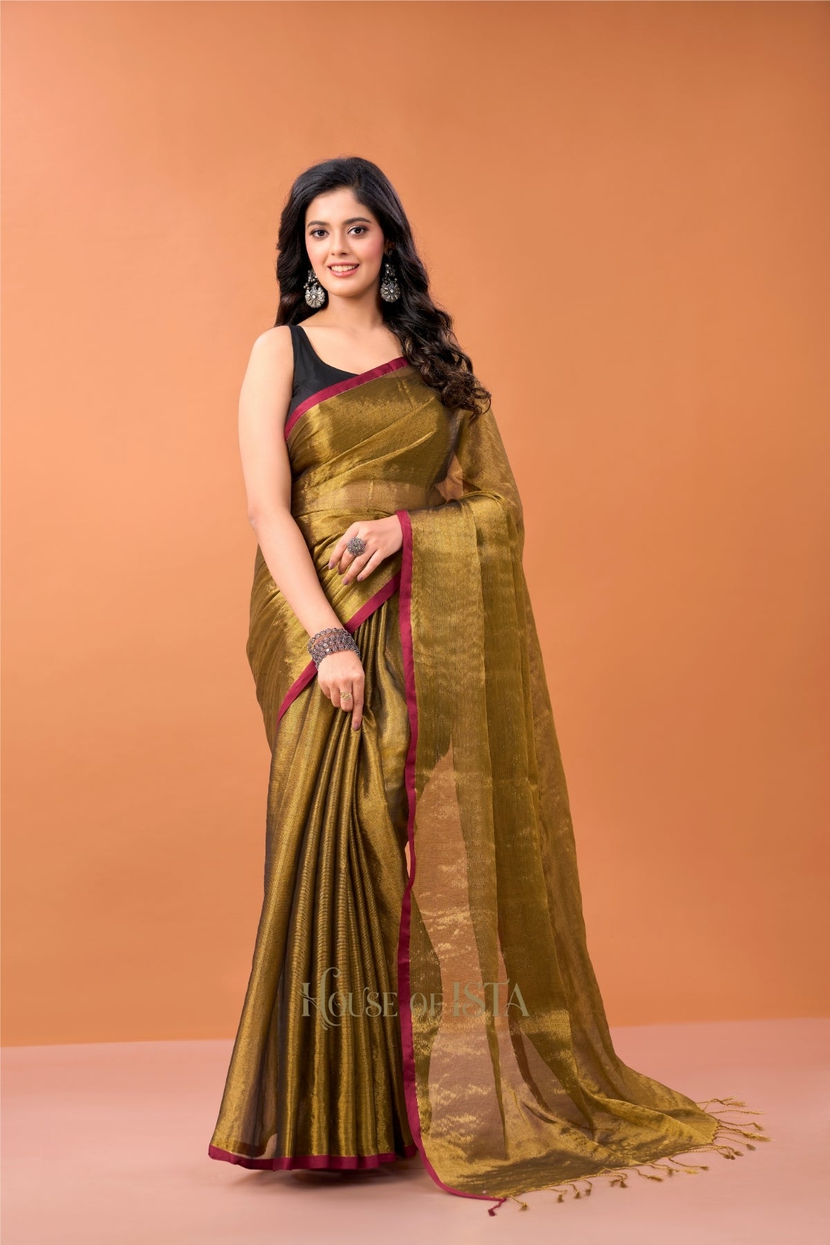 Tamravati Tissue Cotton Saree
