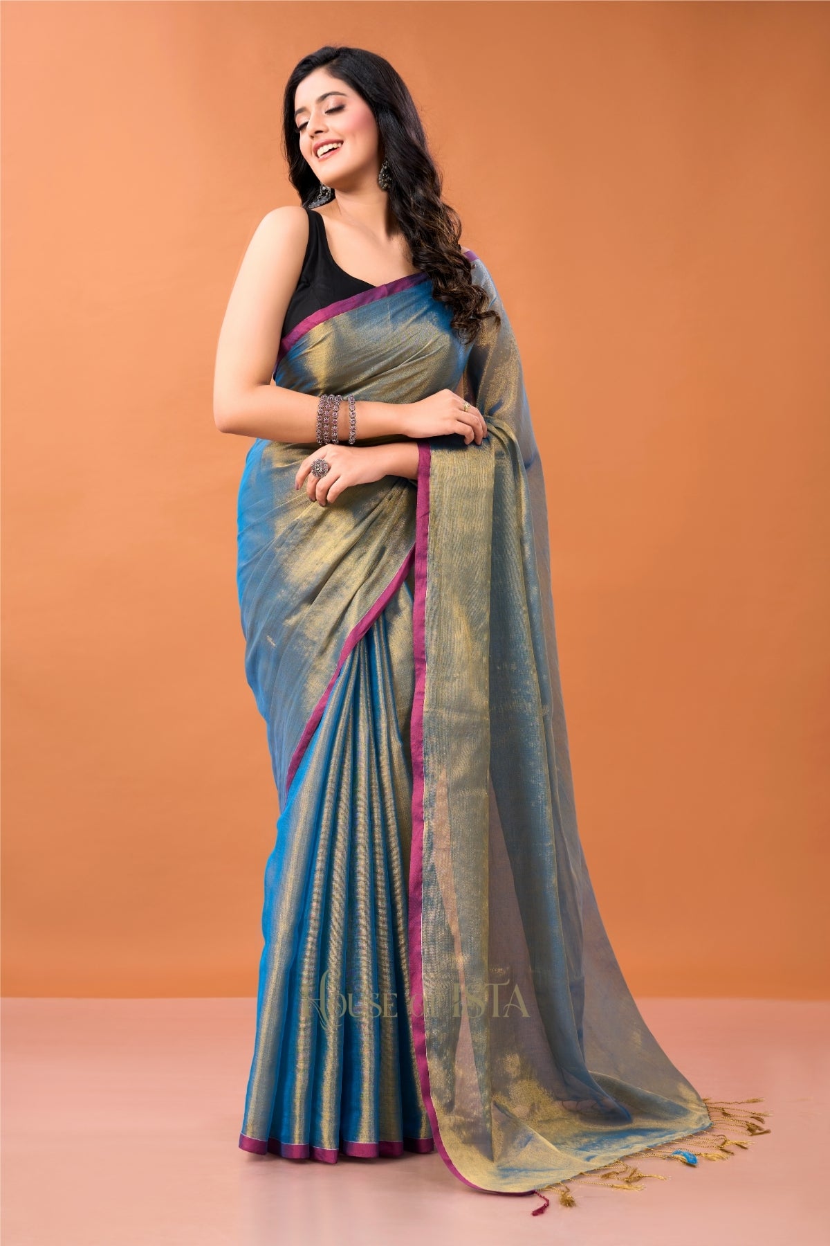 Neel Eshana  Tissue Cotton Saree