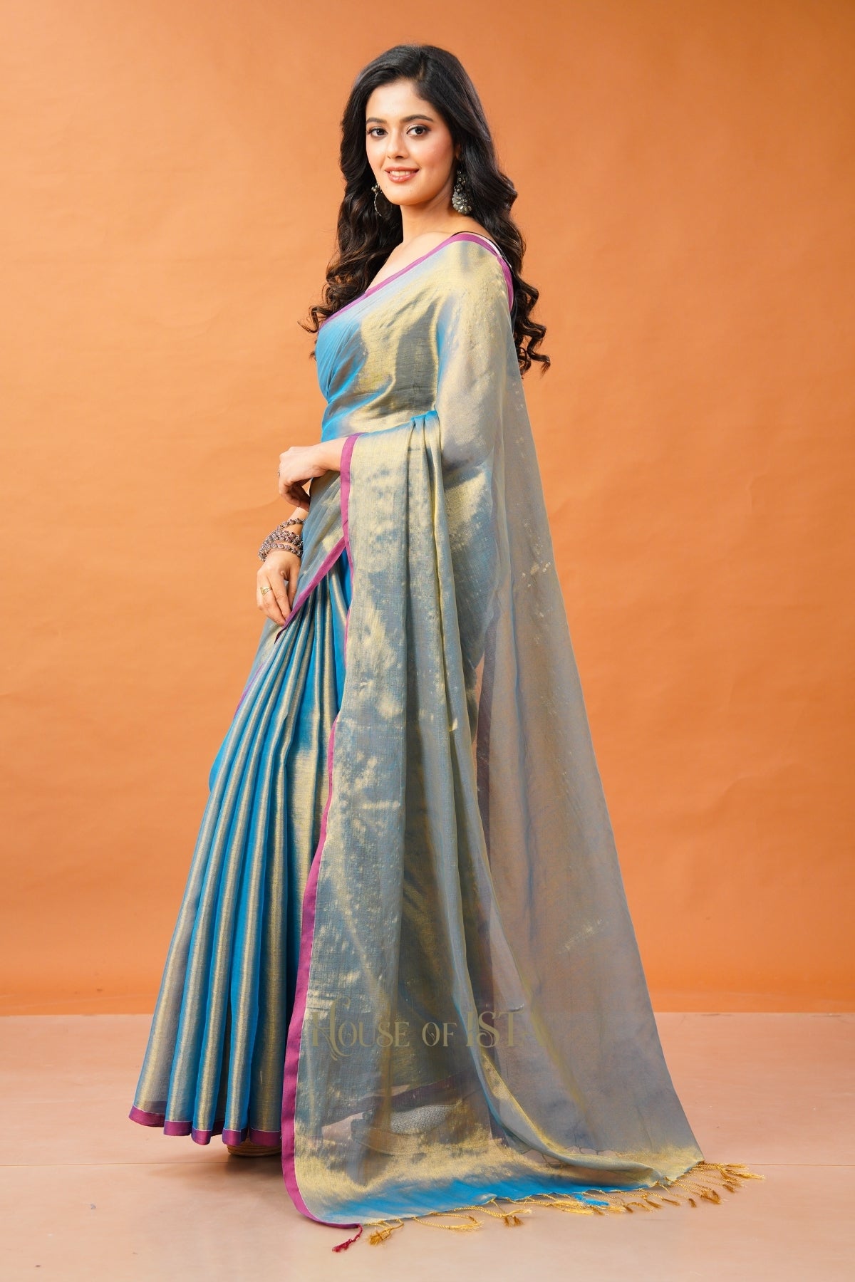Neel Eshana  Tissue Cotton Saree